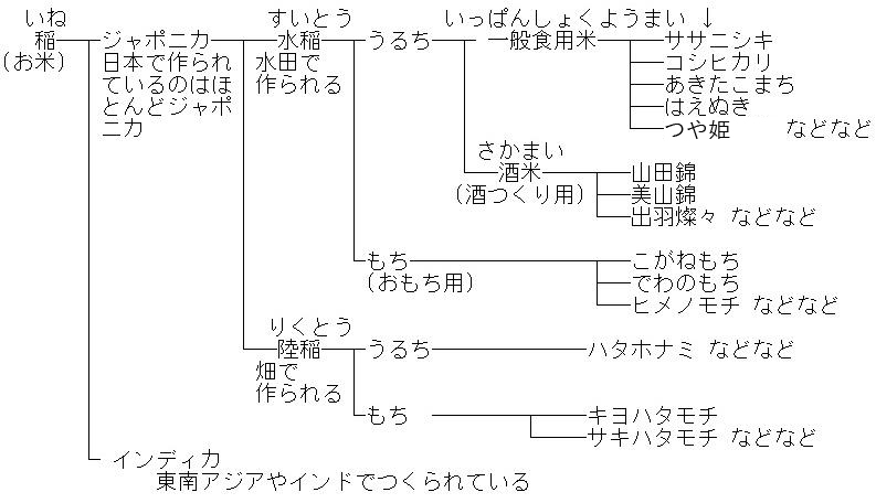 分類