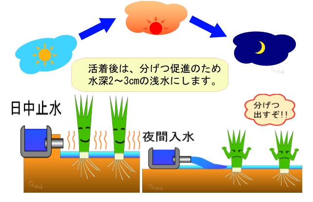 水管理