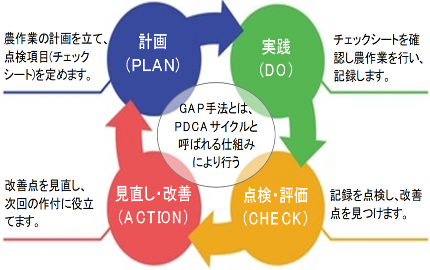 pdca