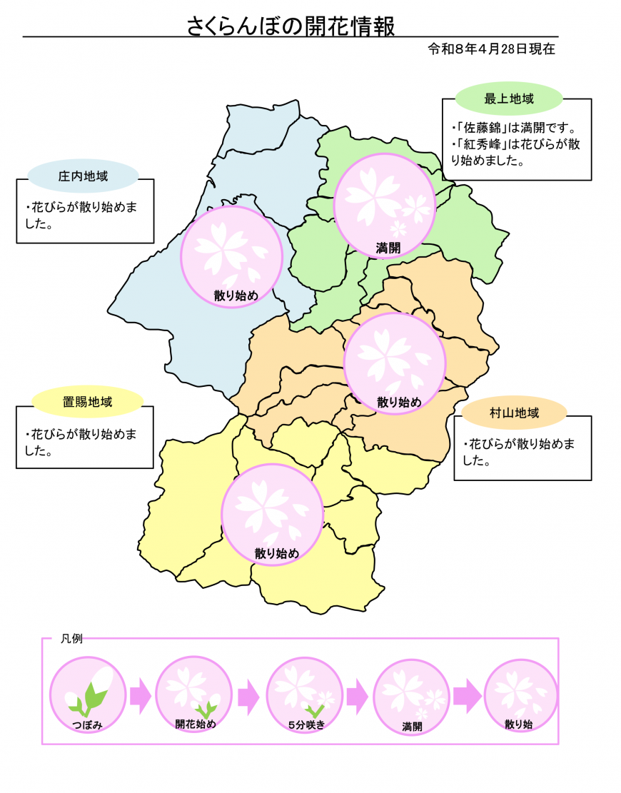 4月28日開花状況
