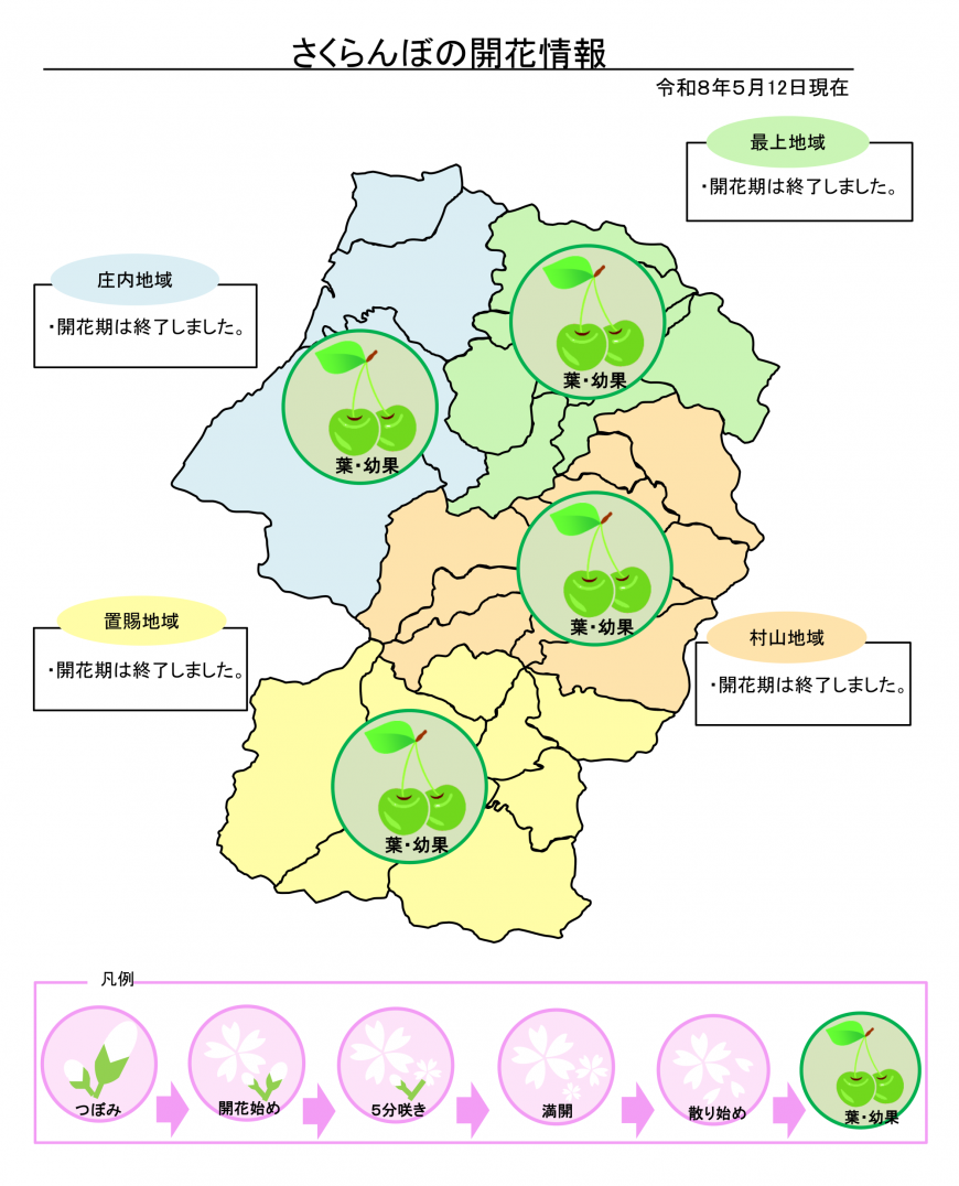 5月12日開花状況